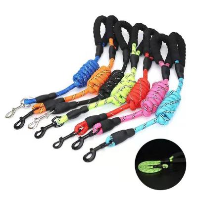 China Sustainable C&C 2022 New Designer Dog Leash Luxury High Quality Double Nylon Reflective Dog Rope Leash for sale