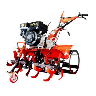 China Equipo agrícola Nuevo diseño de transmisión de engranajes de tracción en las cuatro ruedas Mini Arado de Power Tiller en venta