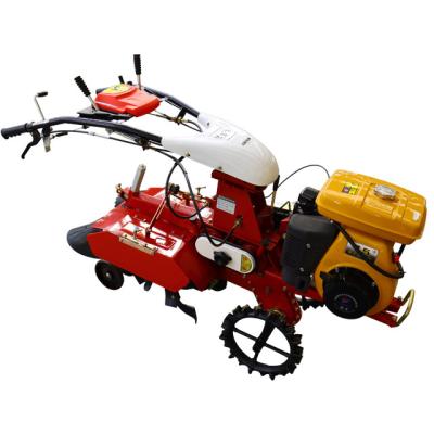 China Tiller Gasoline Hand Push Mini Tiller For Ditching With High Safety Level 4.05KW for sale