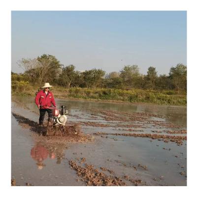 China Mini cultivador de tiradores directamente conectado para necesidades agrícolas a pequeña escala en venta