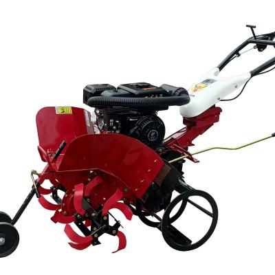 China Multi-Purpose 177F Gasoline Engine Mini Power Tiller Cultivator for Farming Needs for sale