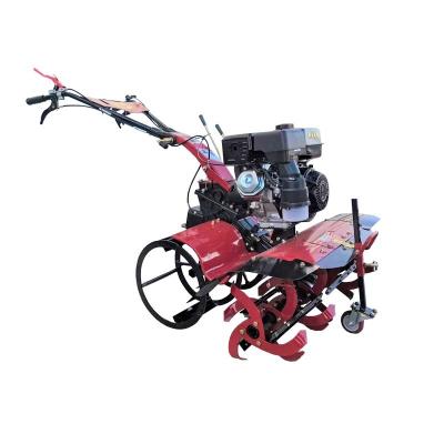 China Weiden und Gräben mit direkt angeschlossenem 177F All Gear Transmission Farm Cultivator zu verkaufen