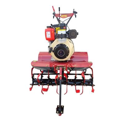 China All Gear Transmission Mini Power Tiller Cultivator Ideal for Heavy-Duty Farming Needs for sale