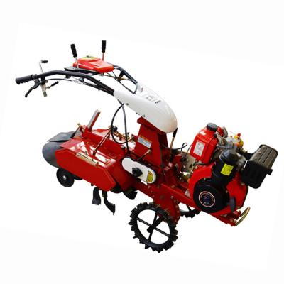 China 155*75*105cm Handheld Diesel Engine Mini Power Tiller Cultivator voor bodemvoorbereiding Te koop