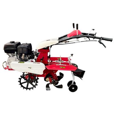 China Ventilated Farming 4.05KW Gasoline Rotary Tiller with Chassis Structure Functionality for sale