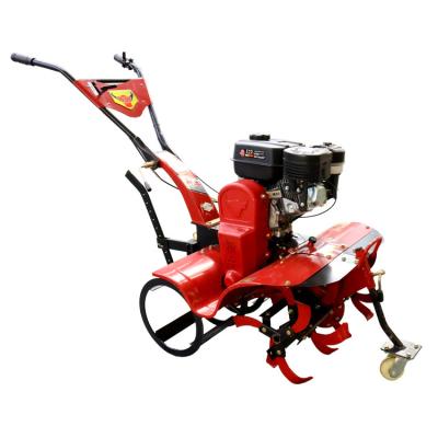 China Adjustable Working Width Mini Gasoline Tiller for Versatile Cultivation for sale