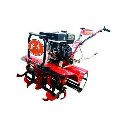 China 4 km/h Arbeitsgeschwindigkeit Farming mit 170 F Motor Power Tiller und verstellbarer Breite leicht gemacht zu verkaufen