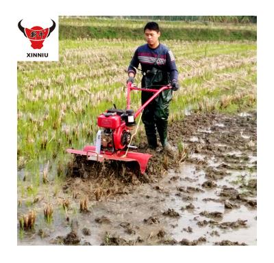 China Nivel de seguridad de alta mano empuje modelo corto Mini Tiller rotativo para herramientas agrícolas en venta