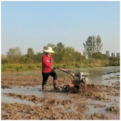 Chine 4KM/H professionnel 4WD Mini Tiller électrique avec largeur de terrassement réglable à vendre