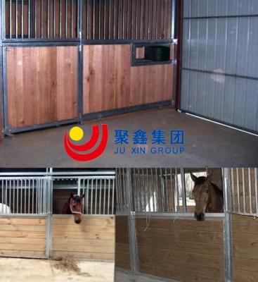 China Prefabricated Structural Steel Frame Racecourse Versatile for sale