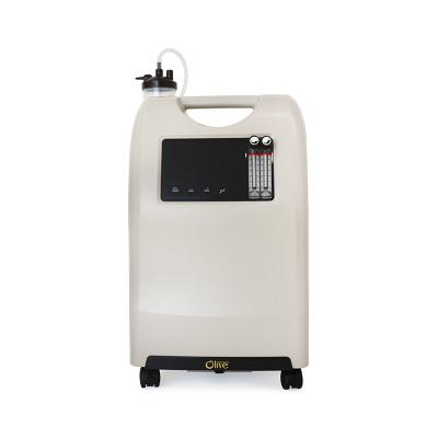 China 24/7 continuous flow of /h in stock! 3L 5 L Dual Flow High Purity 96% Medical Oxygen Concentrator 10L for sale