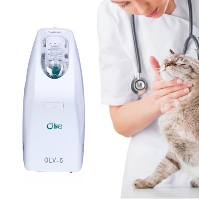 China CE CertifiedHigh Veterinary Hospital Low Noise Automatic Medical Animal Pressure Olive Top Selling Veterinary Oxygen Concentrator For Veterinarian for sale