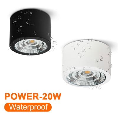 China Modern 20W LED COB Waterproof Surface Mounted Downlight High CRI Die Cast Aluminum Used For Outdoor Station Platform for sale