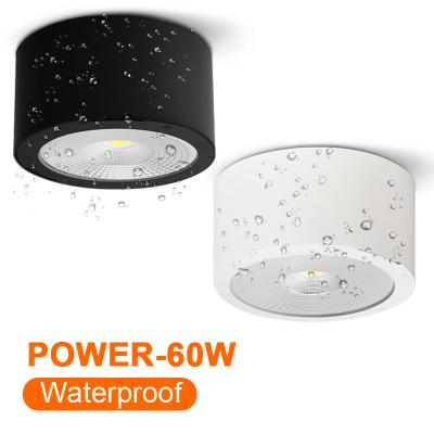 China Waterproof Minimalist LED 60W Surface Mounted Downlight High CRI Die Cast Aluminum Used In Outdoor Waterproof IP65 Ceiling Light for sale