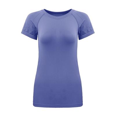 China Sweatshirt Cycling Running Workout Tees 2022 Short Sexy Sports Women Yoga Tight Quick Dry Breathable Tee New for sale