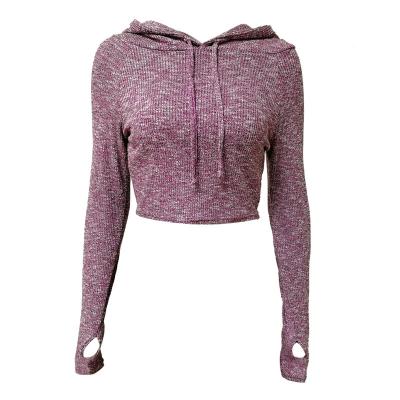 China Custom Breathable Wear Women Training Hoodies Slim Fit Yoga Tops Long Sleeve Gym Crop Sweatshirt Quick Dry Hoodies for sale