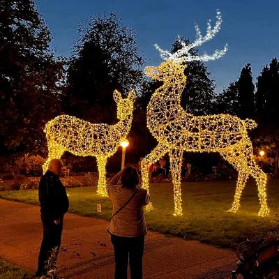 China Waterproof Customization IP65 3d ​​Ramadan Animals Led Pattern Street Decorations Lights Christmas Halloween Wedding Day New for sale