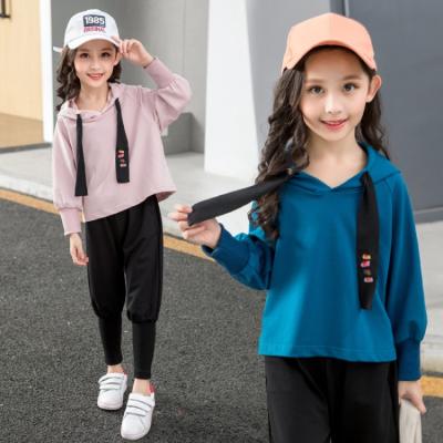 China Casual girls' hoodie, harem pants, children's costume, spring and autumn net two-piece sets new for sale