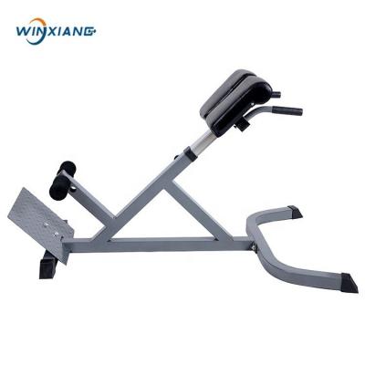 China High Quality Fit Equipments Abdominal Muscles Back Exercise Roman Chair for sale