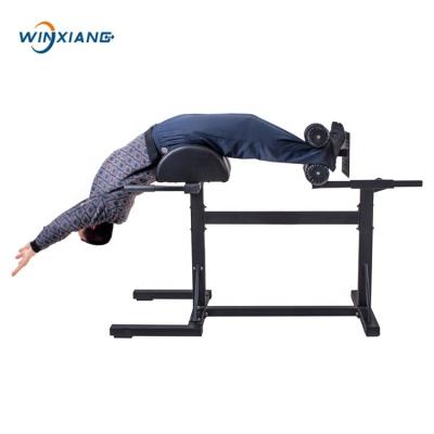 China Deluxe Glute Abdominal Muscles Ham Raise Hip Back Extension GHD Rest-UPS for sale