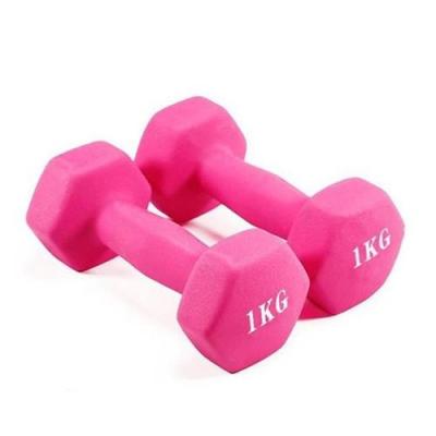 China High Quality Fitness Pectoral Hex Gym Rubber Dumbbell for sale