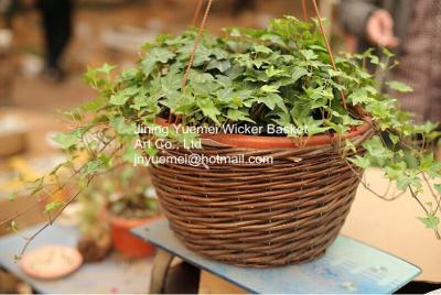 China home dicorative wicker garden baskets willow flower plant baskets manufacture for sale