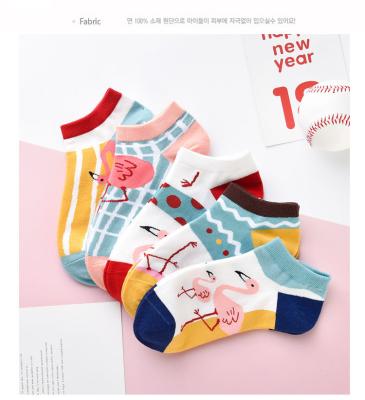 China Summer Antibacterial Men's Invisible Liner Shoe Socks Colorful Loafer Cotton Boat Cut-Off Socks Invisible Low Cut Socks for sale