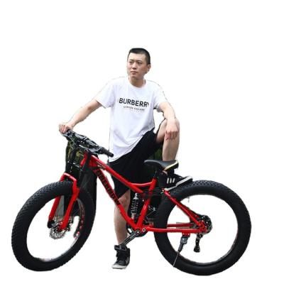 China New Design Canada America Hot Selling Street City Bicycle Adult Mountain Bike Boarding Fat Free Tire Sport Bike for sale