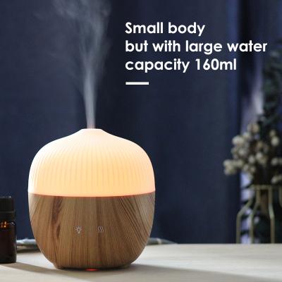 China RV Home Fragrance Machin Aromatherapy Oil Diffuser 160ml Ultrasonic Air Humidifier Aroma Diffuser for sale