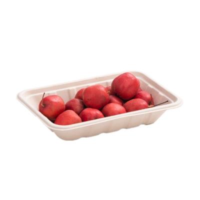 China High Quality Disposable Biodegradable Fruit Tray Takeaway Sushi Tray Disposable Sugarcane Tray for sale