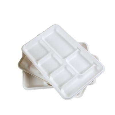 China Waterproof Disposable Sugarcne Pulp Food Containers Ovenproof Store for sale