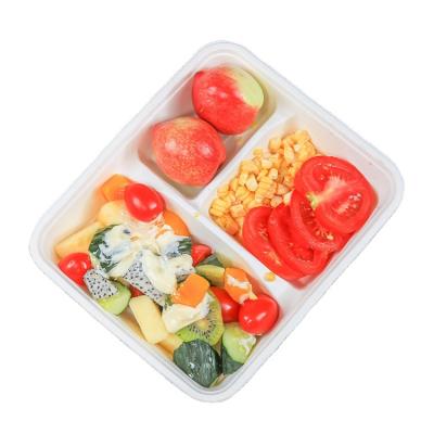 China 2021 3 Compartment Home Compostable Biodegradable Tray Paper Plates Food Packaging for sale