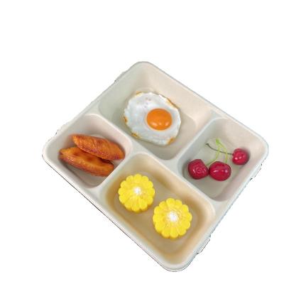 China Biodegradable Take Out Fast Food Container With Lid Lunch Tray Plates For Student for sale