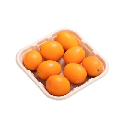 China LUZHOU CLASSIC Customizable Biodegradable Meat Tray for Supermarkets Bagasse Sugarcane Disposable Rectangle Sushi Tray Meat Tray for sale