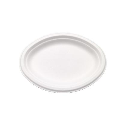 China Disposable Eco-friendly Sugarcane Bagasse Oval Dish With Disposable Plates Biodegradable Paper for sale