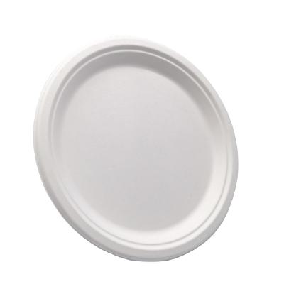 China Eco Disposable 100% Green Biodegradable Food Packaging Disposable Dishes Bagasses Take Out Food Paper Plate Set for sale