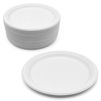 China Modern Compostable Eco Bagasse Pulp Tableware Sugarcane Party Newspaper Dispensing Tour Disposable Dish for sale