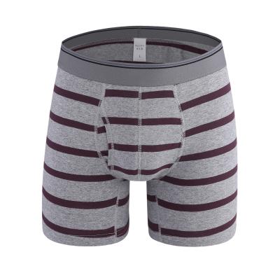 China Multicolor mens breathability stripes boxers custom logo cotton antibacterial shorts for mens underwear boxer for sale