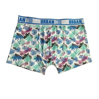 China Factory direct boy briefs breathable with print boxer cotton underwear for teen underwear for sale