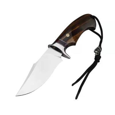 China Mini Wasp Boy Walkabout Outdoor Tactical Knife High Hardness Camping Straight Knife Small Fruit Home Survival for sale