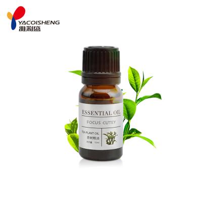 China Contract Pores and Balance Body Oil Beauty Tea Tree Essential Oil YC00815 YC00815 for sale