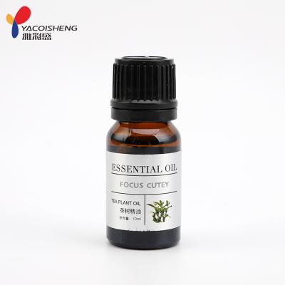 China OEM/ODM Body Oil Balance Tea Tree Essential Oil YC00815 YC00815 for sale