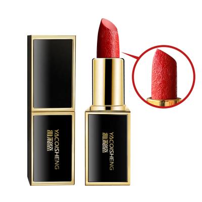 China Factory price private label lipstick fashion color gloss lipstick lip care lip care makeup lipstick for sale