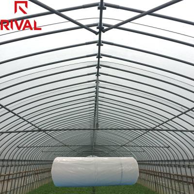 China 2022 New Products Agricultural Greenhouse Film Cover Plastic Sheet Roll Moisture Proof For Agriculture for sale