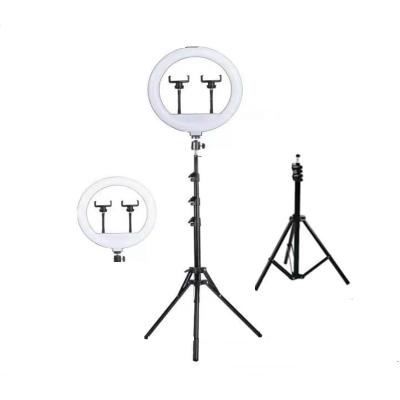 China Universal 12-Inch Spot Light Selfie Ring Light Tripod Selfie Photography Beauty Ring Floor Live Streaming Mobile Phone Fill for sale