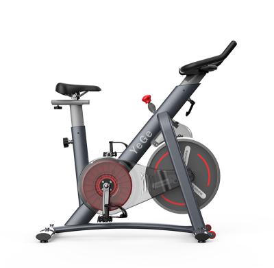 China Best Bycicle 2020 Gym Master Magnetic Indoor Commercial Cardio Exercise Magnetic Fitness Spinning Bike for sale