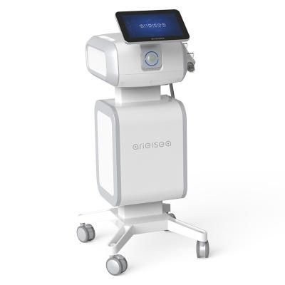 China Máquina no quirúrgica fraccionaria de la cirugía estética de la máquina 60Hz de Thermolift RF Microneedling en venta