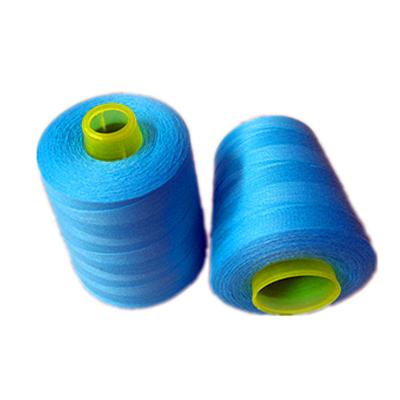 China Wholesale High Tenacity 100% Yizheng Fiber Polyester 302 Spun 30s/2 Sewing Thread for sale