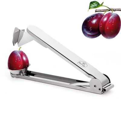 China Viable New Design Kitchen Equipment Stainless Steel Cherry Pitter Hollow Puncher High Quality Manual Pineapple Hollow Puncher/Cherry for sale