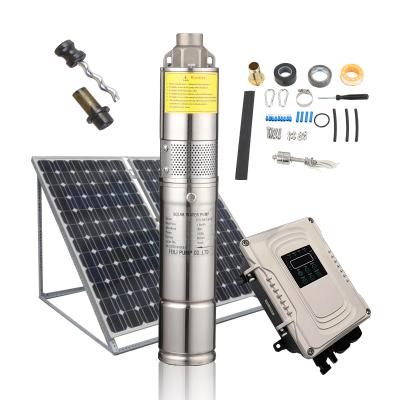 China Africa 80m Head Family Homes Solar DC Borehole Pumps For Irrigation Deep Solar Helical Deep Well Pump With 24V Screw Solar Water Pump for sale